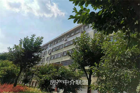宝法苑3室2厅1卫66万124m2出售